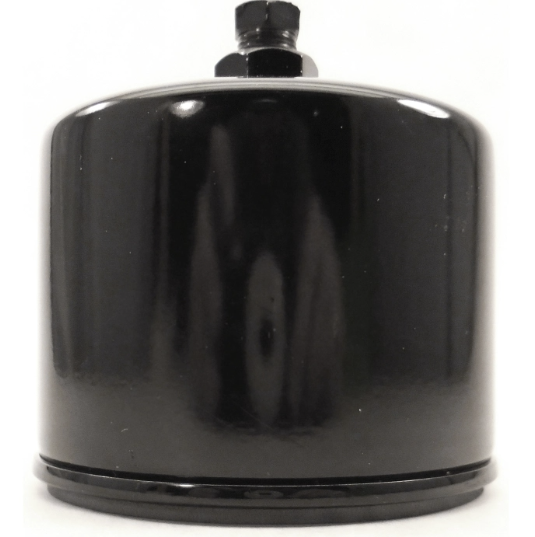 Onan A026K278 | Fuel Filter