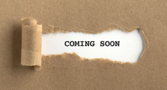 ONAN REPAIR KIT 541-1524