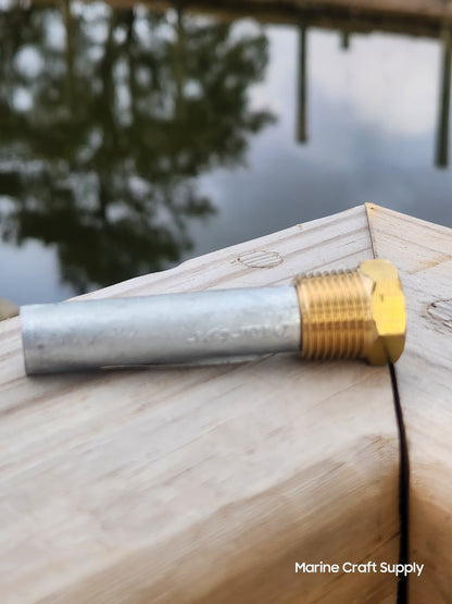 Anode With Plug