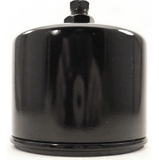 Onan A026K278 | Fuel Filter