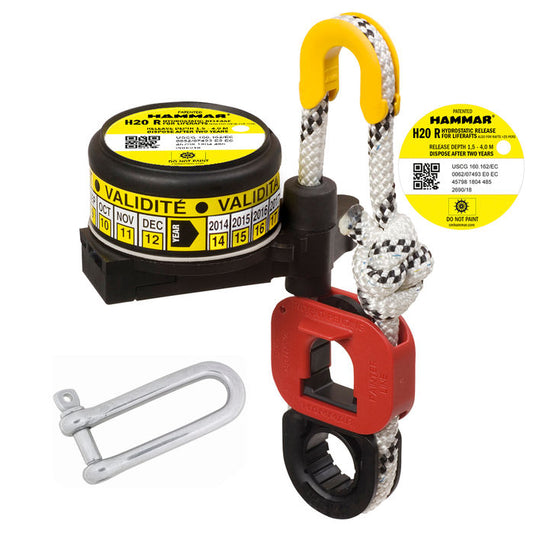VIK 1003641 HYDROSTATIC RELEASE UNIT